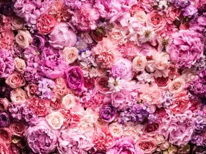 The Color Symbolism in Roses
